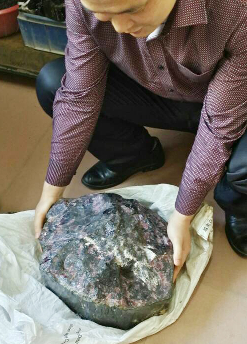 [水晶大王亲赴巴西矿区选矿]2012年5月巴西矿区投资签约成功.